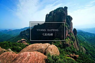 7月7 8號 弋陽龜峰一日游