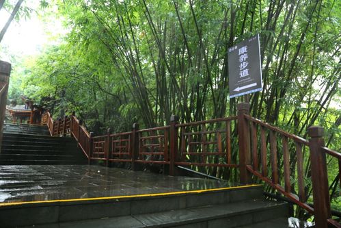 通知丨龍宮景區(qū)調(diào)整部分游覽線(xiàn)路及龍宮精品旅游攻略