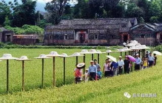 開發鄉村旅游,應關注這四類產品
